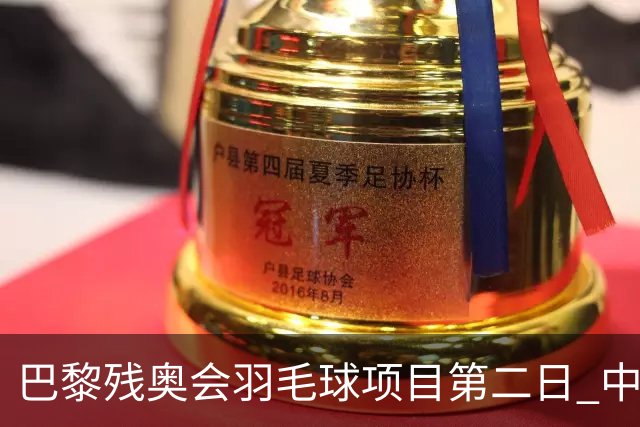 巴黎残奥会羽毛球项目第二日 中国队取得14胜4负